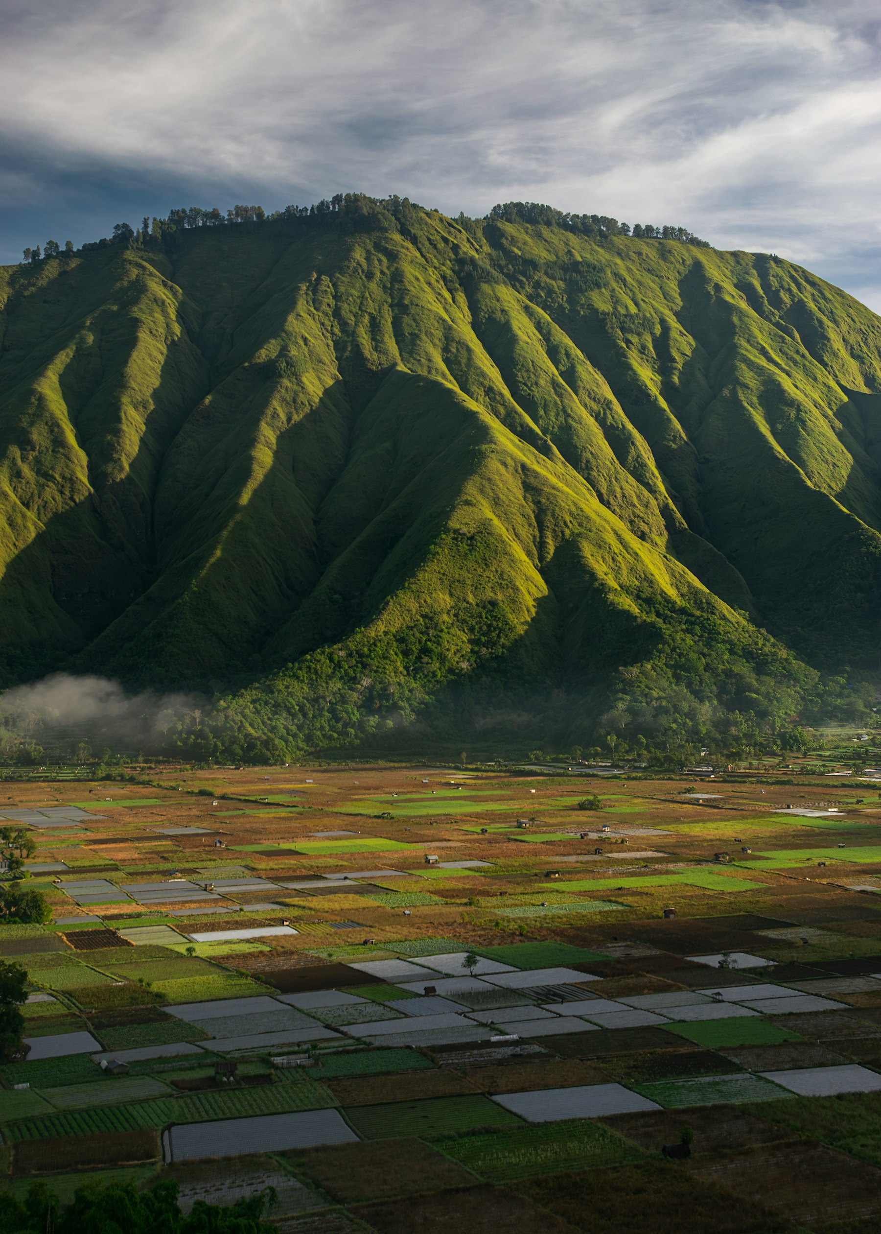Rice terraces below green hills at Bukit Selong, South Lombok